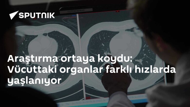 organ yaşlanması