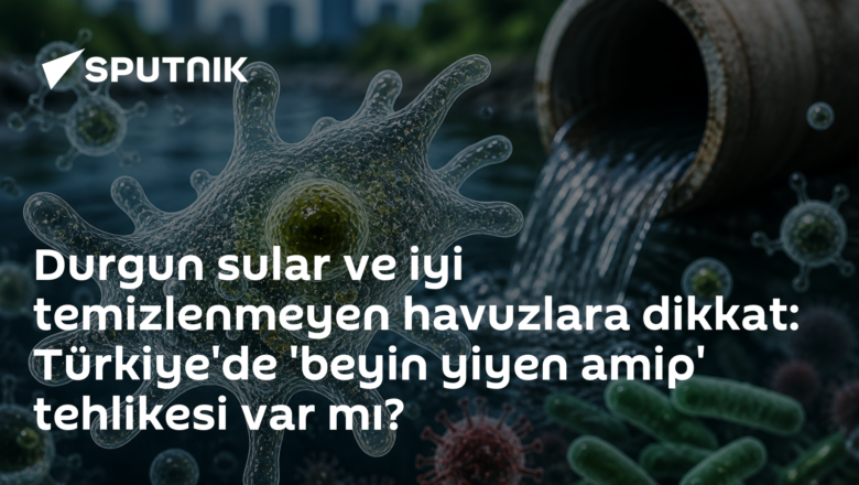 beyin yiyen amip