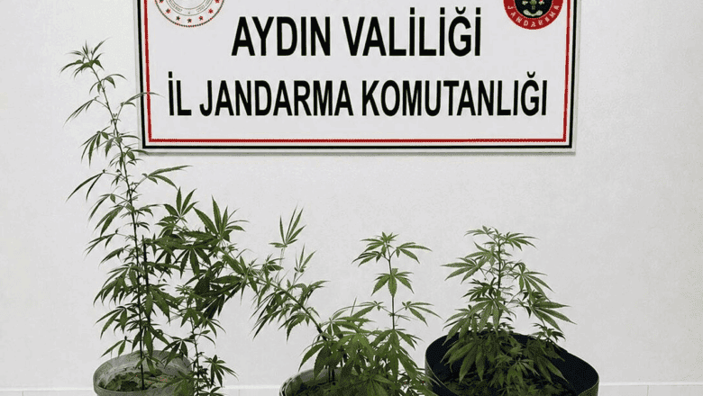 Uyuşturucu Operasyonu