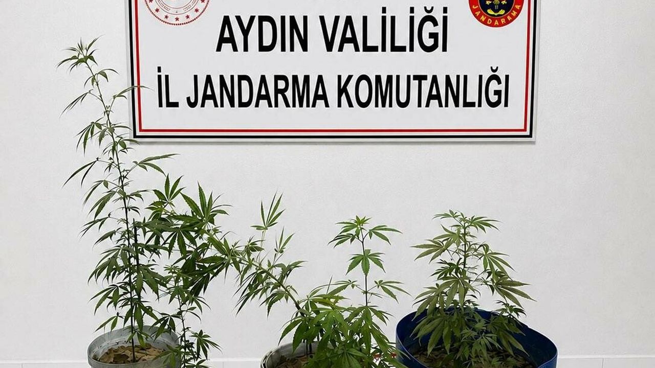 Uyuşturucu Operasyonu