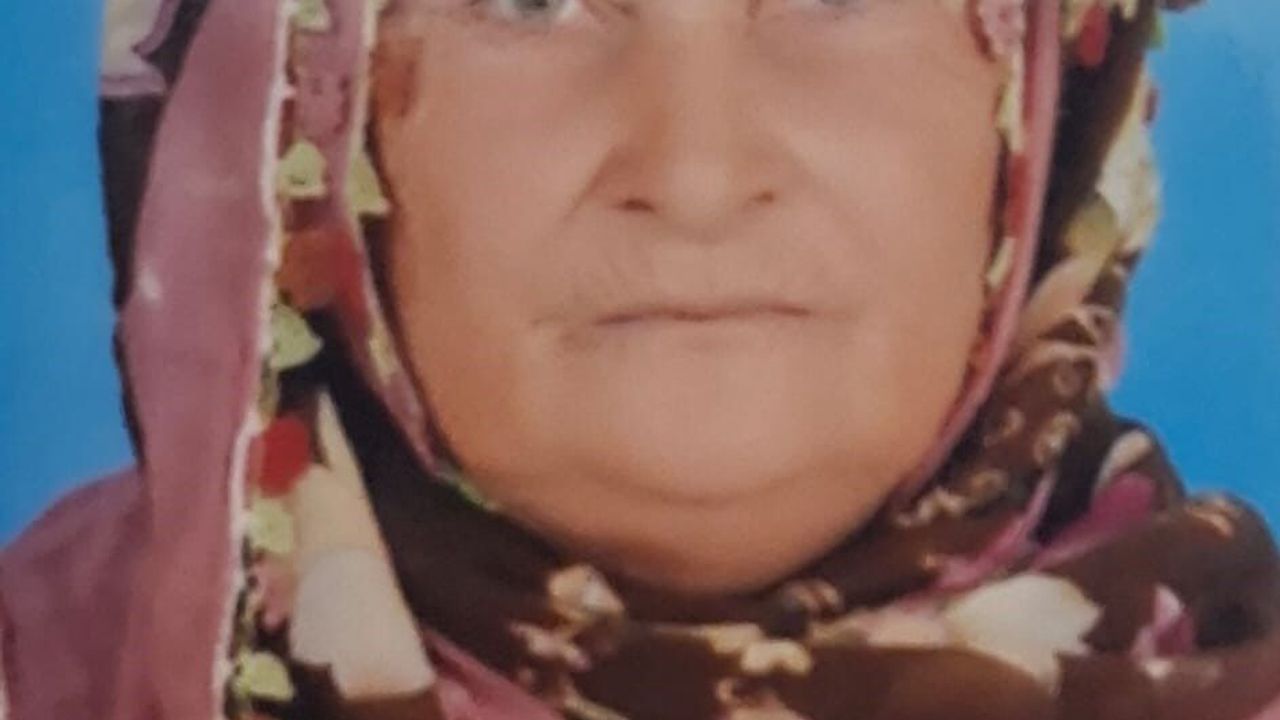 Cezir Avlukyarı