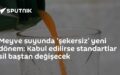 meyve suyu