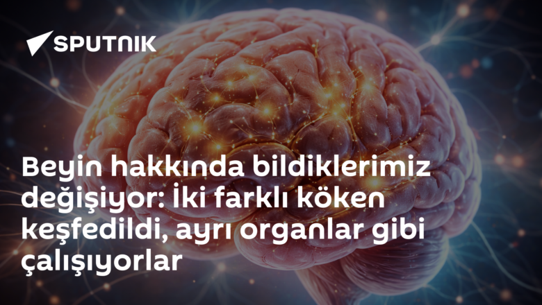 beyin kökeni