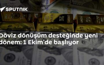 döviz dönüşüm desteği