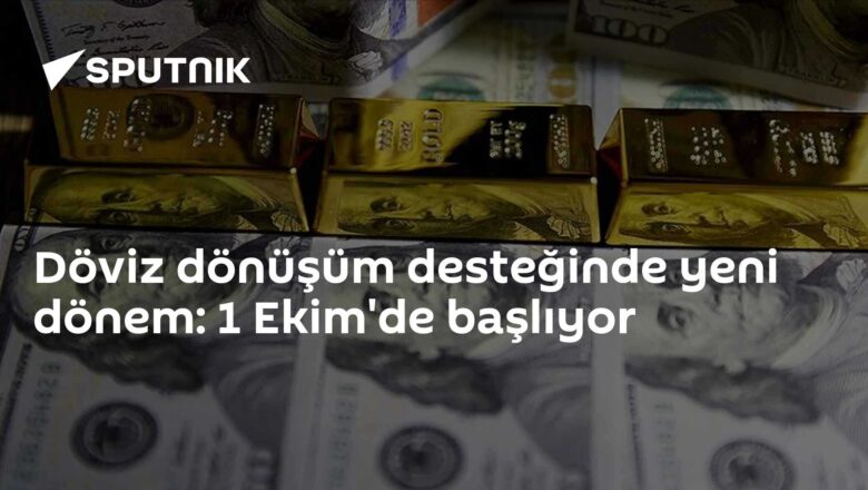 döviz dönüşüm desteği